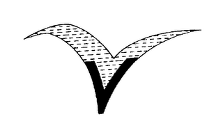 V logo