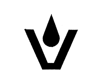 V logo