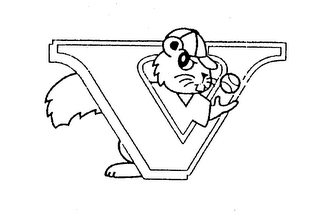 V logo