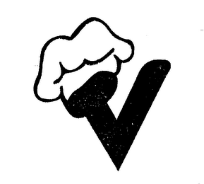 V logo