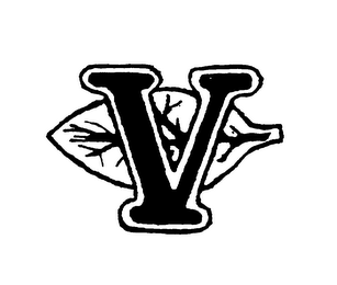V logo