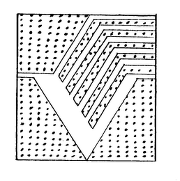 V logo