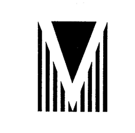 V logo