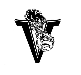 V logo