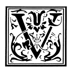 V logo