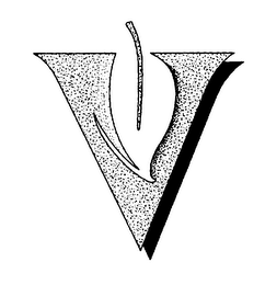 V logo