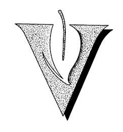 V logo
