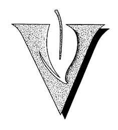 V logo