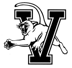 V logo