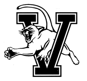 V logo