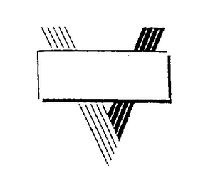V logo