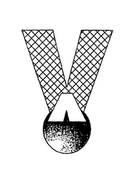 V logo