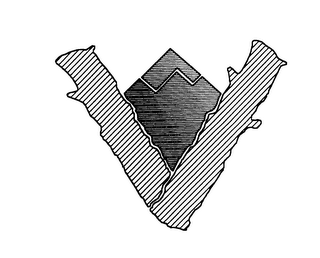 V logo