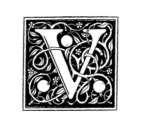 V logo