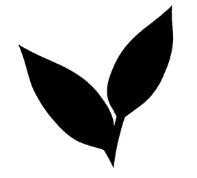 V logo