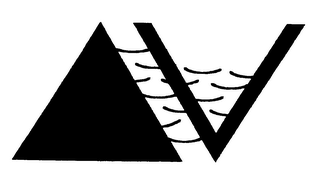 V logo