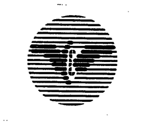V logo