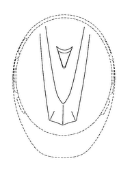 V logo