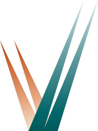 V logo