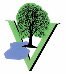 V logo