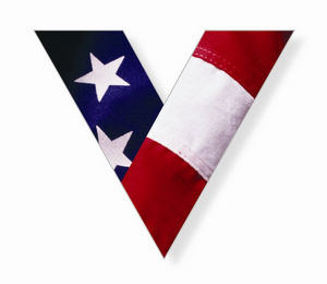 V logo
