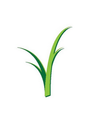 V logo