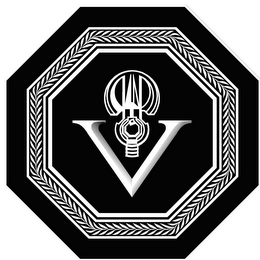 V logo