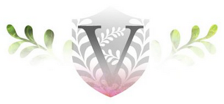 V logo