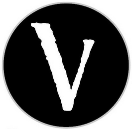 V logo