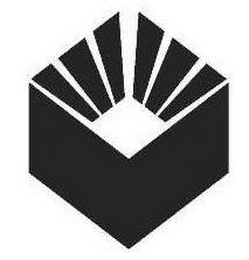 V logo