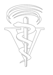 V logo