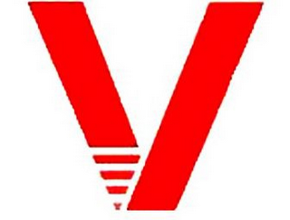 V logo