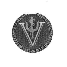 V logo