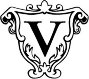 V logo