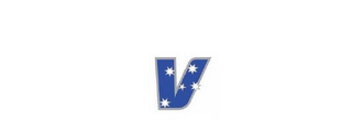 V logo