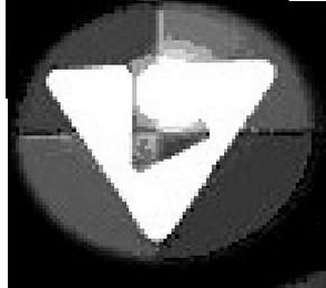 V logo