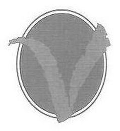 V logo