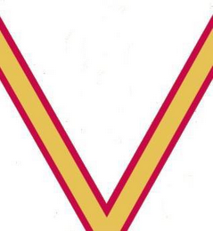 V logo