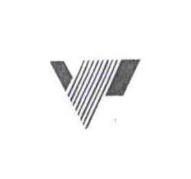 V logo