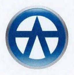 V logo