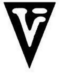 V logo