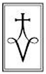 V logo