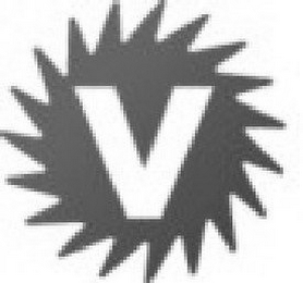 V logo