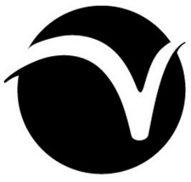 V logo