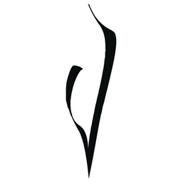 V logo