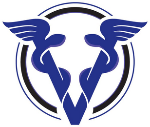 V logo