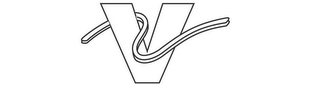 V logo