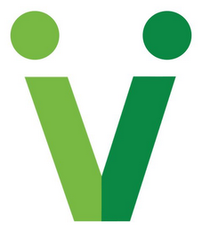 V logo