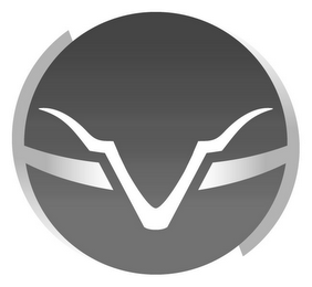 V logo