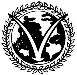 V logo